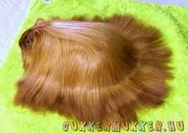 a_parokam..._miau.jpg